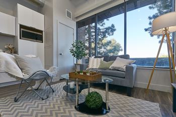 Luxurious living room